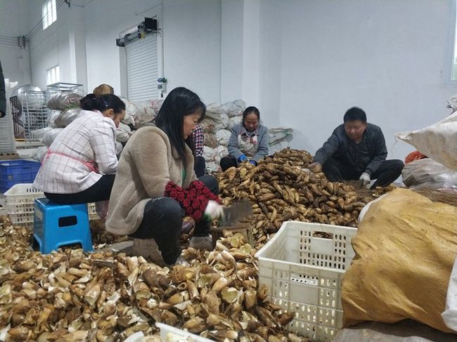 下载 (5).jpg